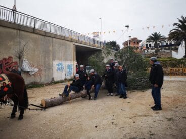 Miembros de El Tiraset con el pino de Sant Antoni