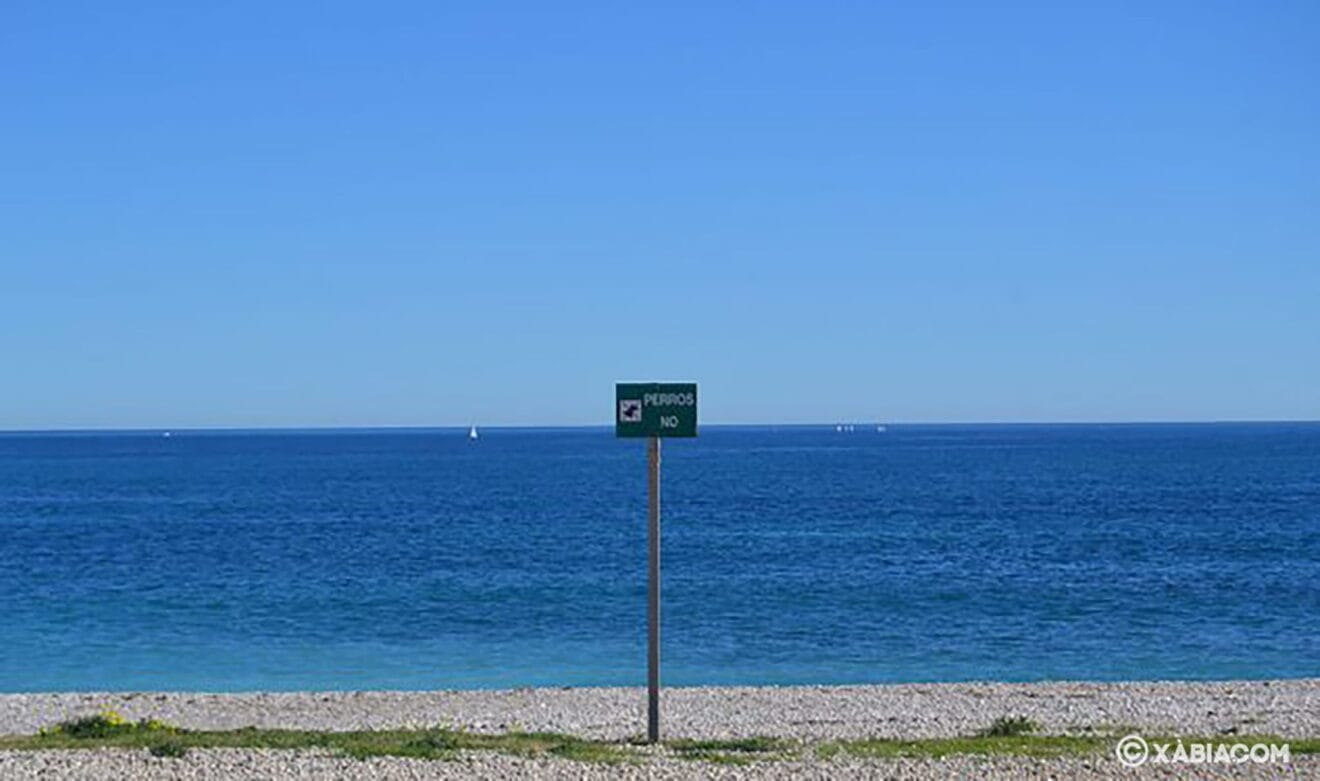 No está permitido el baño de perros en esta playa urbana