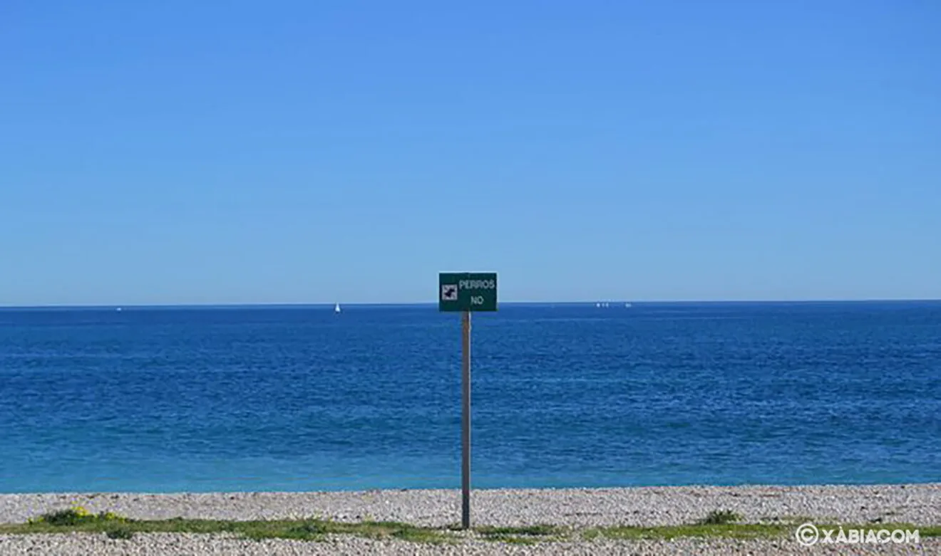 No está permitido el baño de perros en esta playa urbana