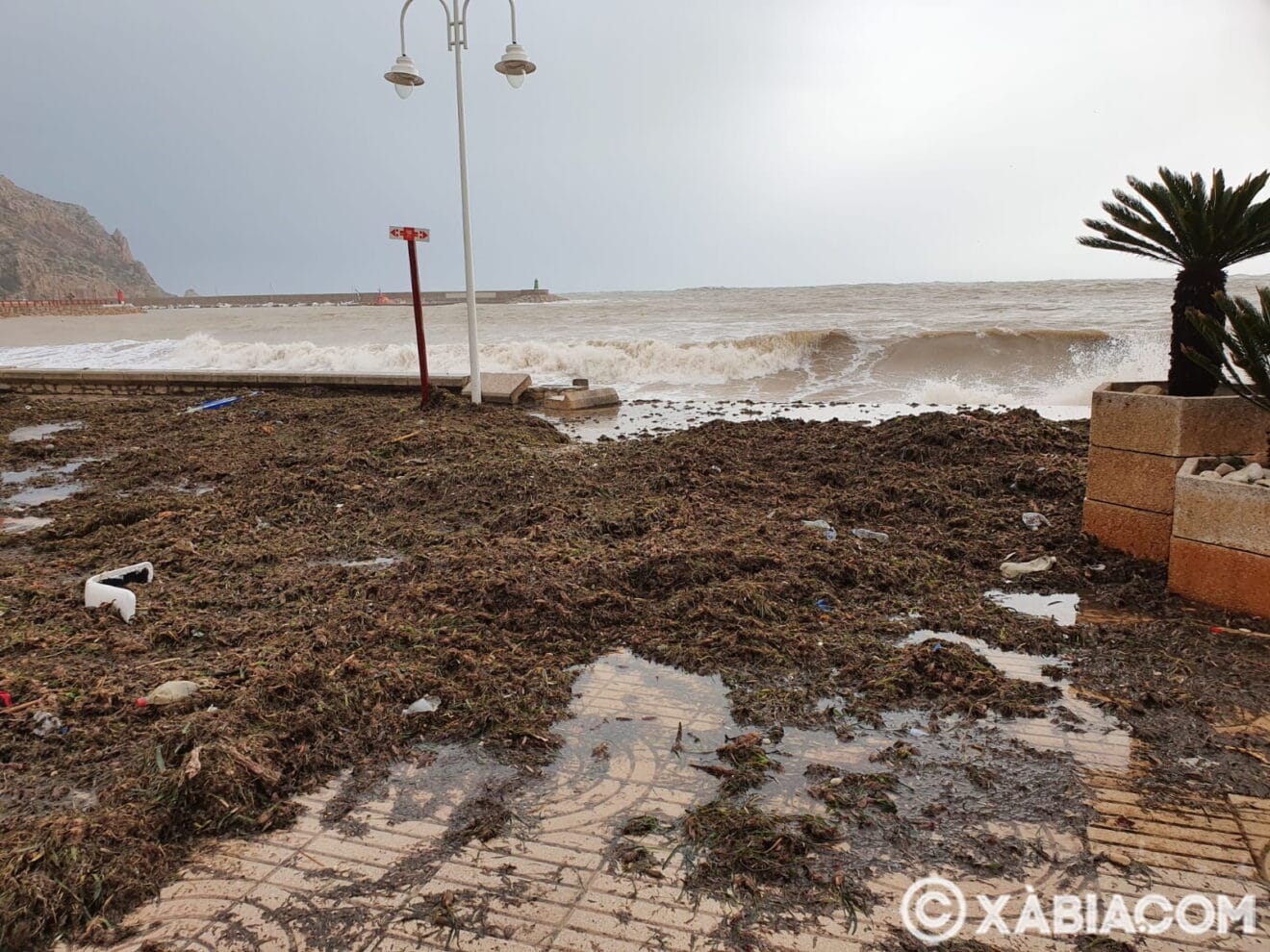 Restos del temporal marítimo en el Paseo Marítimo de Xàbia