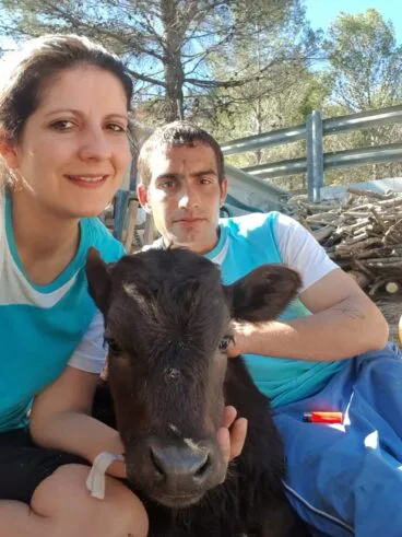 Salva y Rosa junto a un becerro