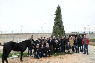 Traslado del pino de Sant Antoni