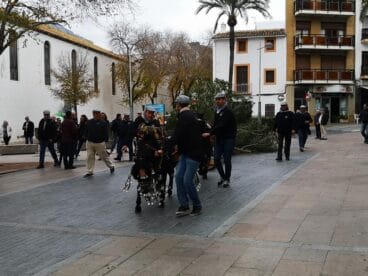 Traslado del pino de Sant Antoni