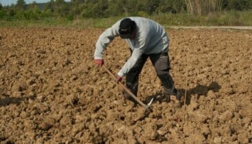 Agricultor trabajando la tierra