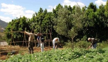 Agricultores trabajando en Dénia
