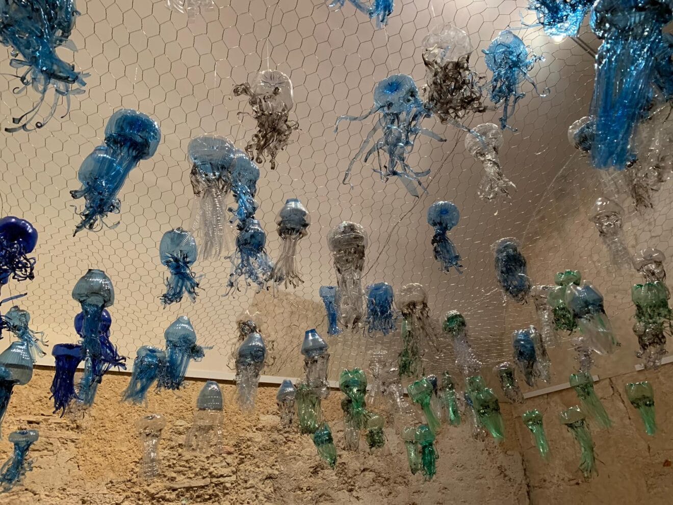 Exposición Medusas en Xàbia