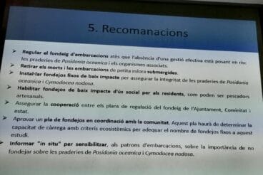 Recomendaciones para cuidar la Posidonica