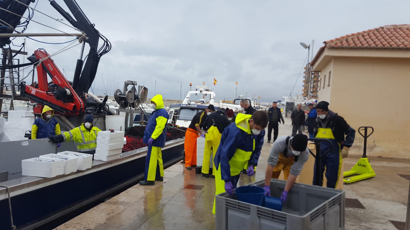 Descarga de pesca en el puerto de Vinarós