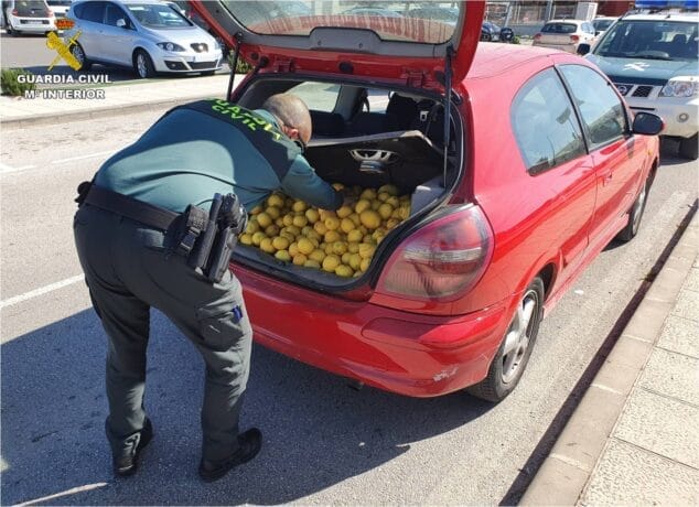 Imagen: El hombre había robado 140 kilos de cítricos