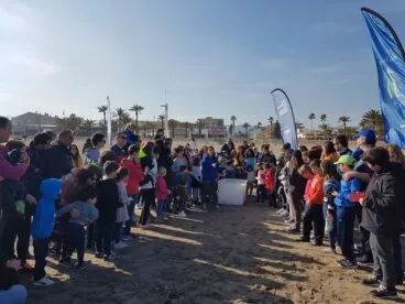 Suelta de la tortuga en la playa del Arenal