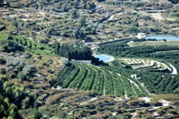 Campos de la comarca de la Marina Alta
