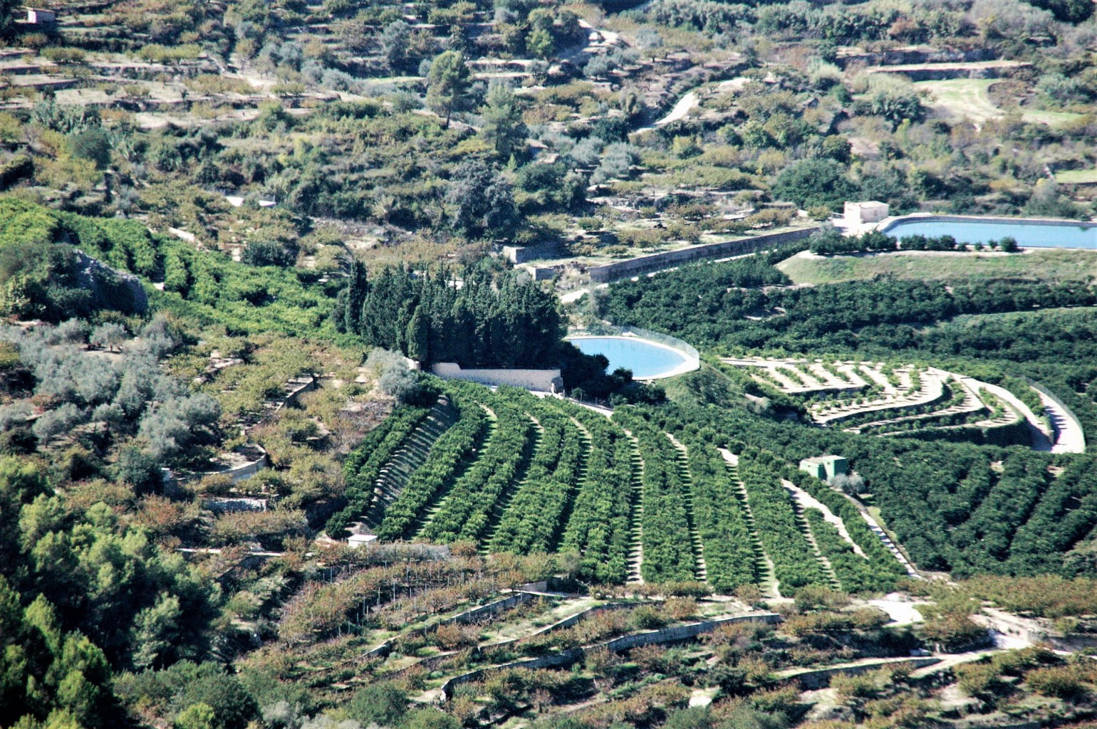 Campos de la comarca de la Marina Alta
