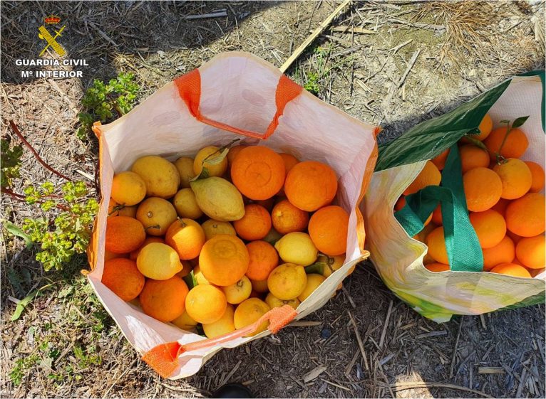 Naranjas y limones robados