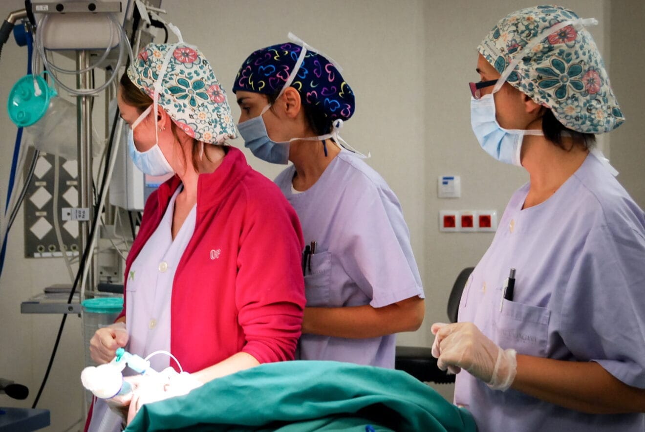 Profesionales sanitarios en Marina Salud