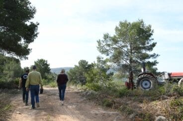 Realización de un cortafuegos en la zona de Capsades- Rebaldí