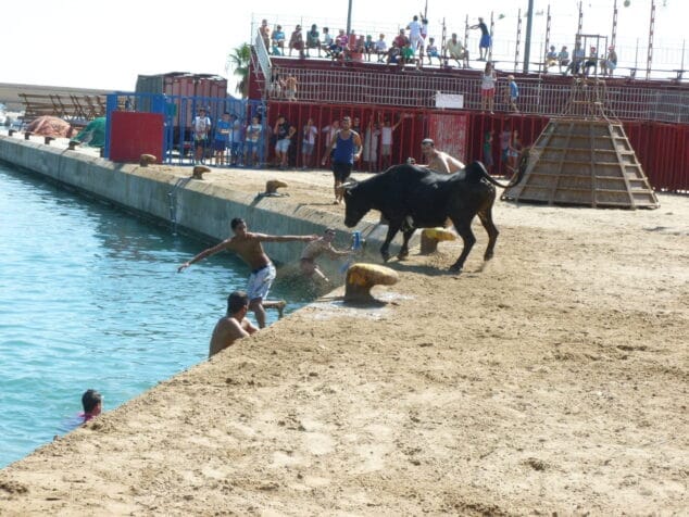 Imagen: En una sesión de Els bous a la mar