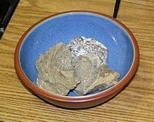 Pieza de ámbar gris