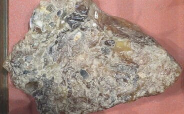 Pieza de Ámbar gris