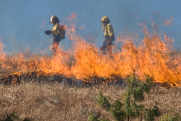 Imagen: Bomberos forestales