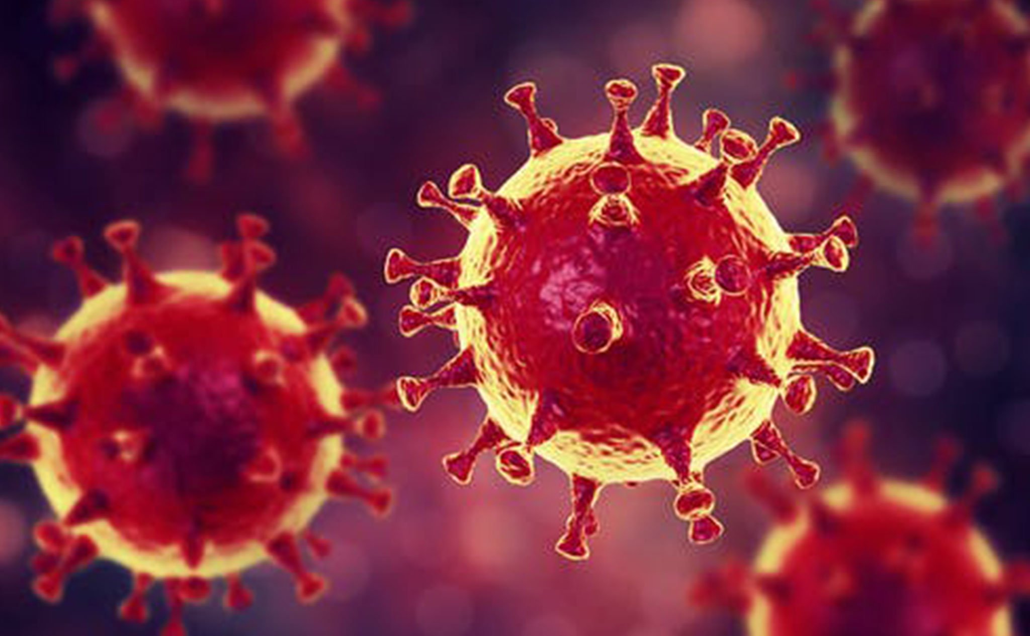 El coronavirus puede sobrevivir en el agua – Ecopools – Construma