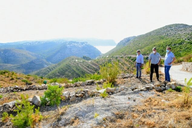 Imagen: Recuperación forestal en la Granadella