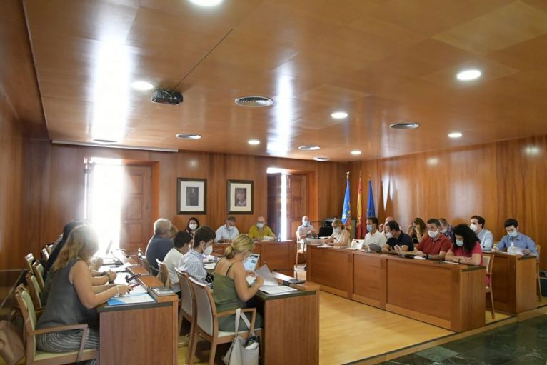 Sesión plenaria Xàbia en junio de 2020