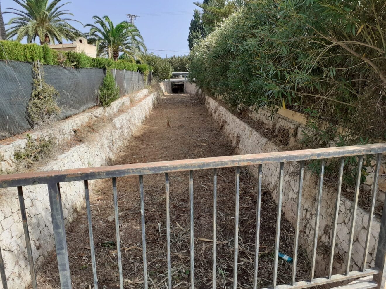 Finalizada la limpieza del barranco del Tosalet