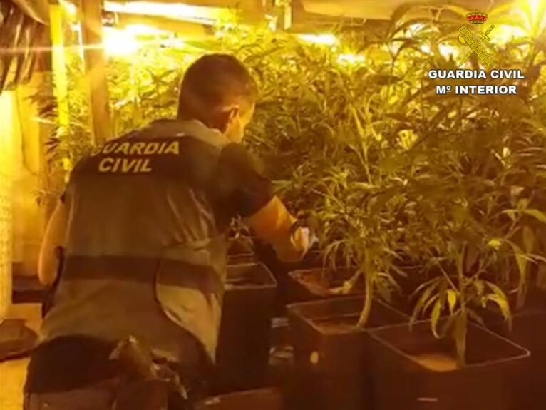 Plantación indoor de marihuana en Xàbia