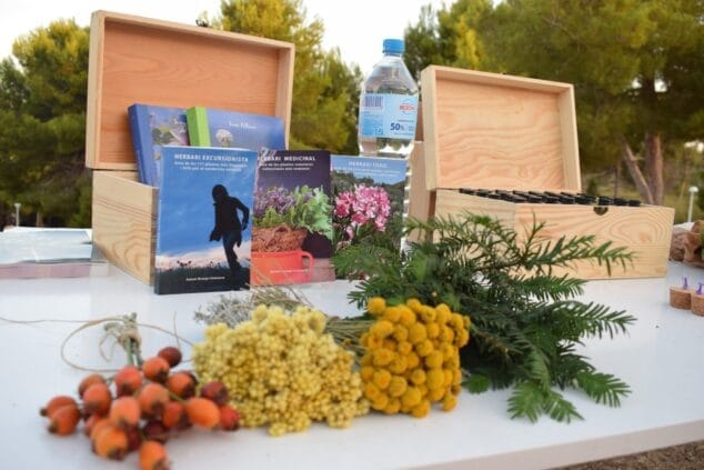 Imagen: Plantas medicinales