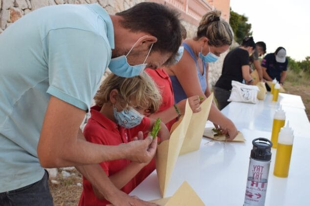 Imagen: Taller de plantas medicinales