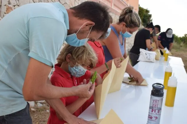 Imagen: Taller de plantas medicinales