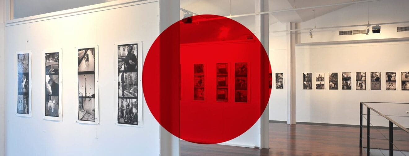 Festival Ojos Rojos