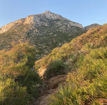 sendero-de-acceso-a-la-cova-tallada