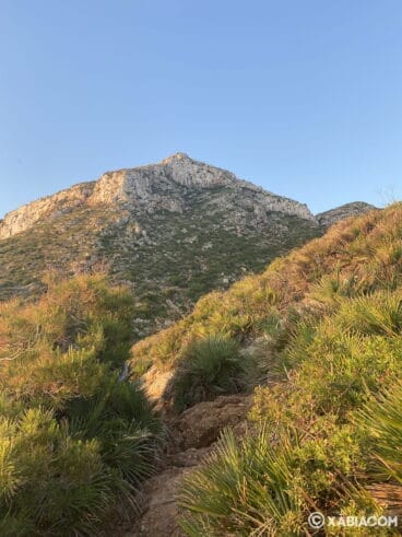 Sendero de acceso a la Cova Tallada desde Dénia