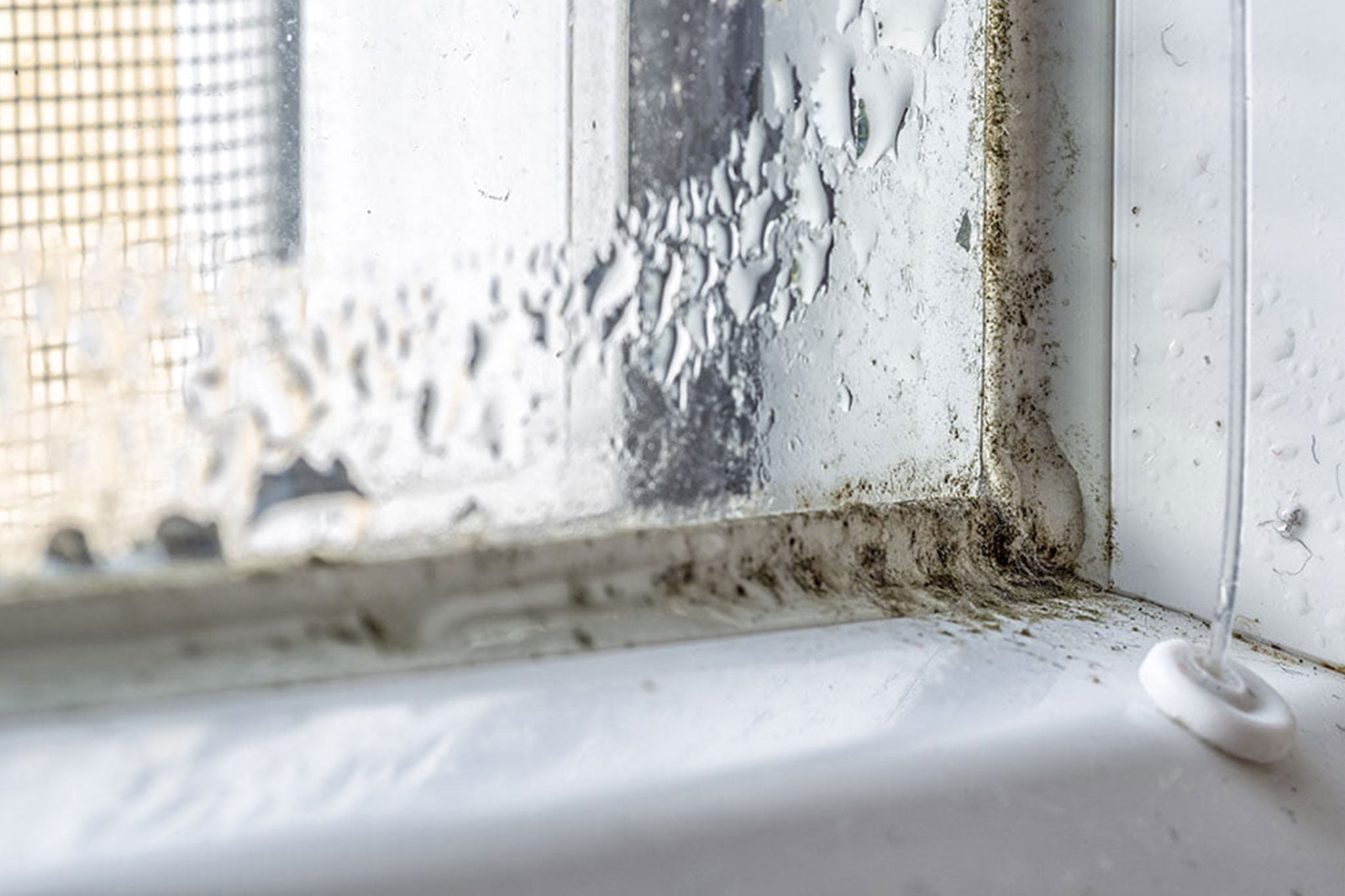 Evita la condensación en las ventanas – Hermética