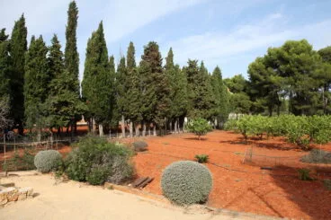 Huerto junto al Monasterio de la Plana de Jávea