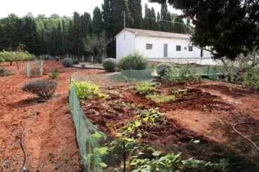 Pequeño huerto en el Monestir de la Plana de Xàbia