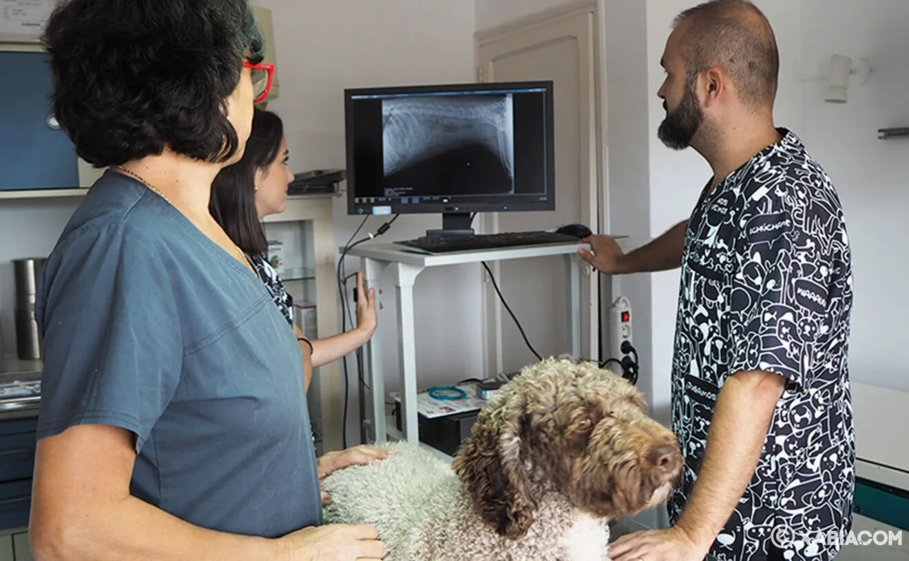 Equipo de Clínica Veterinaria Asis Vets