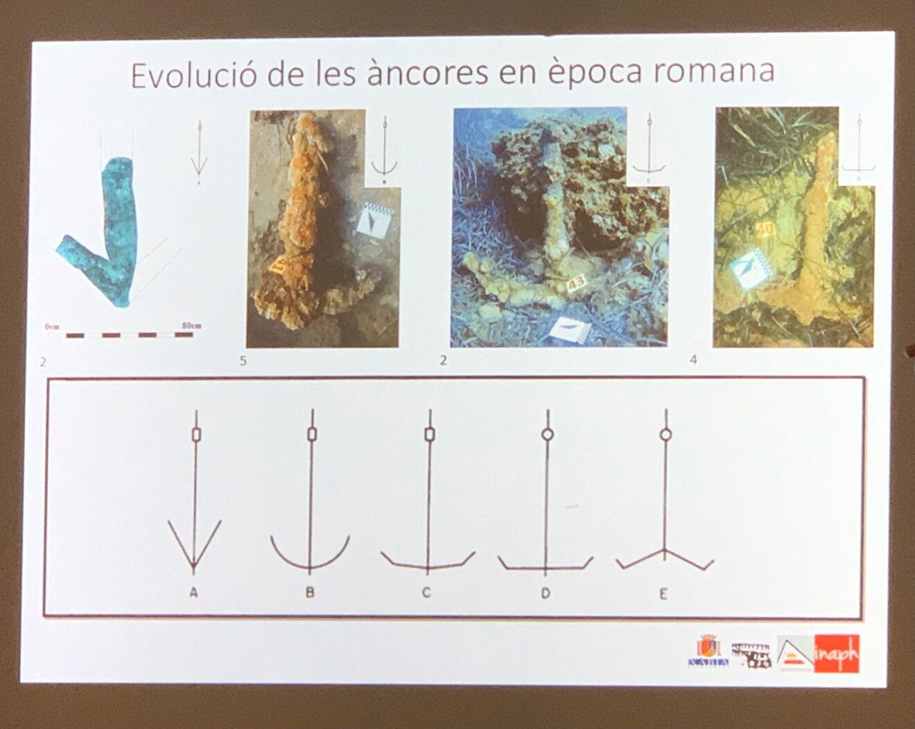 Evolución de las anclas