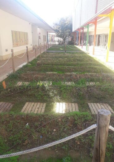 Huerto escolar del Colegio L’Arenal de Xàbia