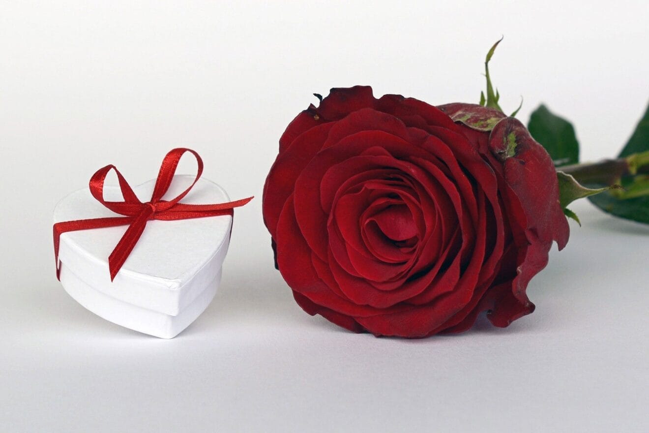 Imagen destacada Cesta San Valentín 2021 Jávea.com