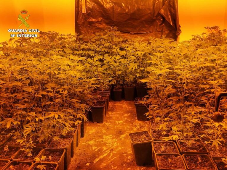 Plantación indoor de marihuana