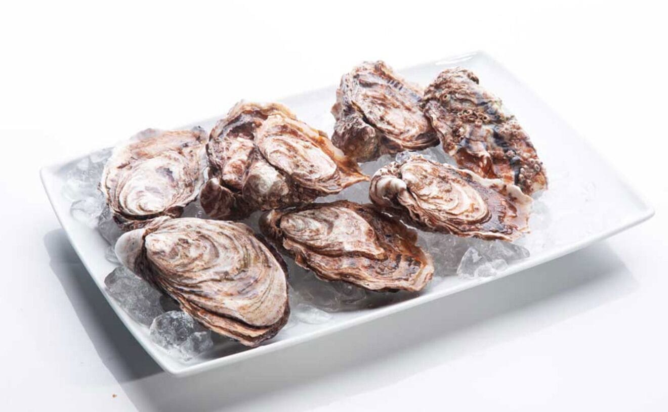 Ostras en Jávea - Restaurante Noray