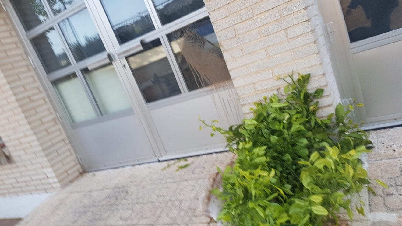 Pintadas en la puerta del patio