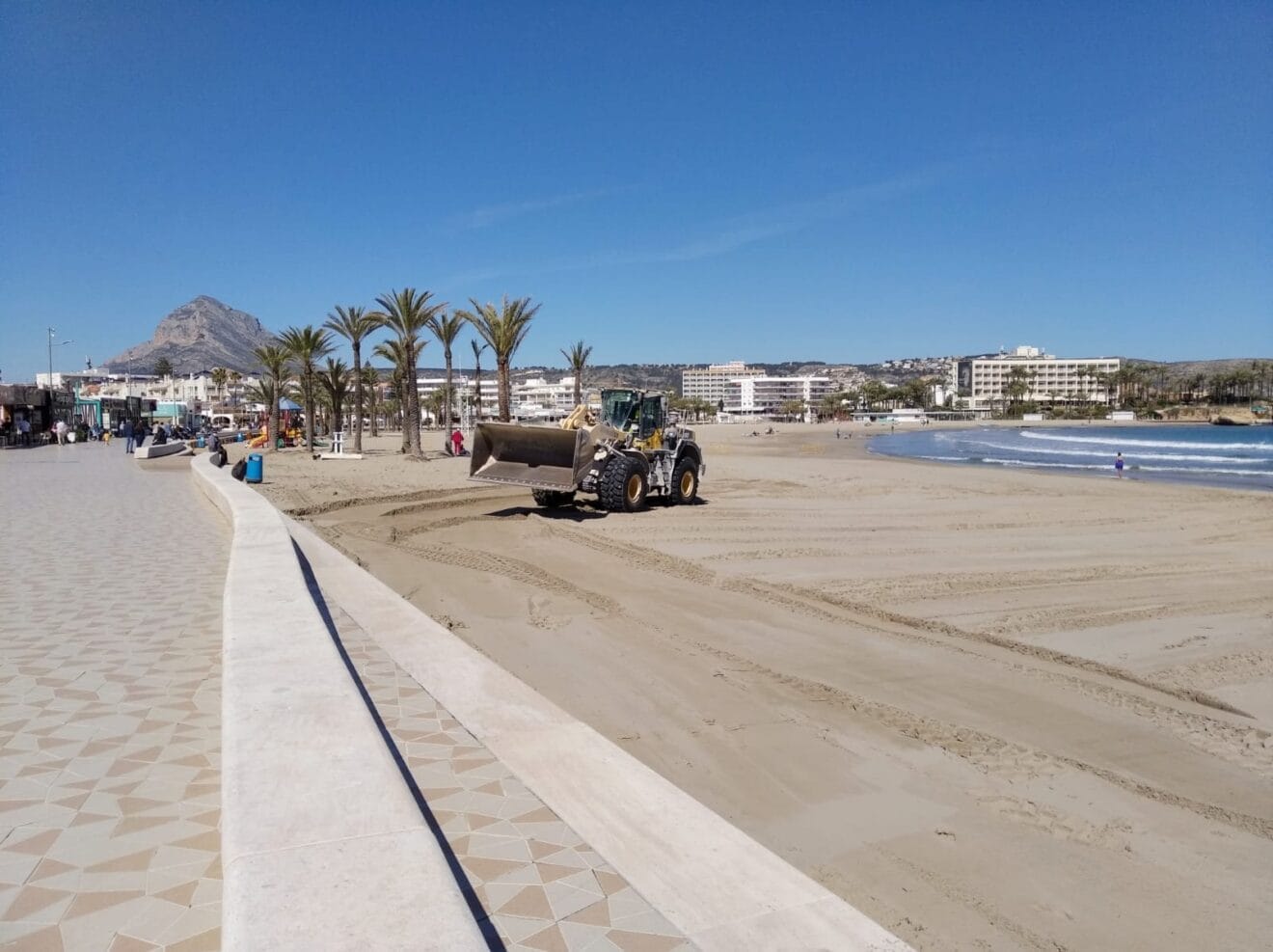 Puesta a punto de la Playa del Arenal