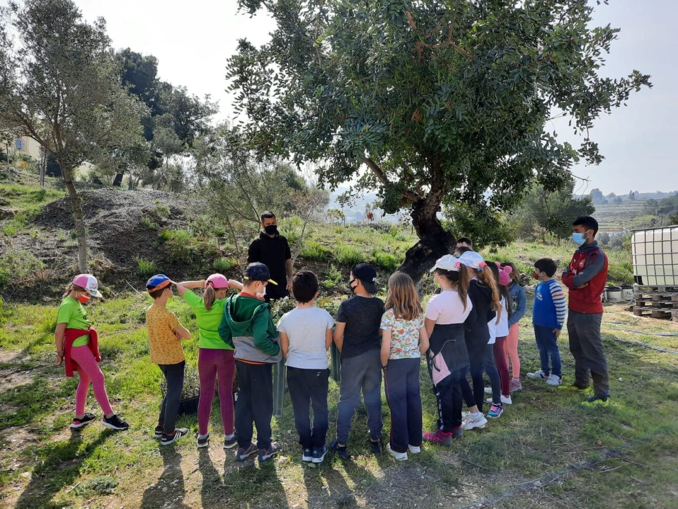 Replantación de árboles en Les Fonts de Benitatxell