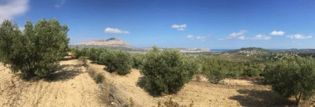 Imagen: Finca de olivos 'Allarriba' en Xàbia