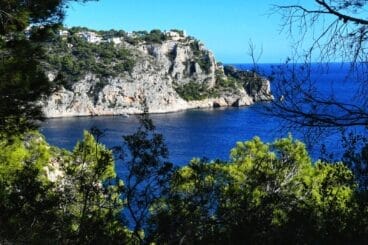 Litoral del Xàbia. Cova del Llop Marí