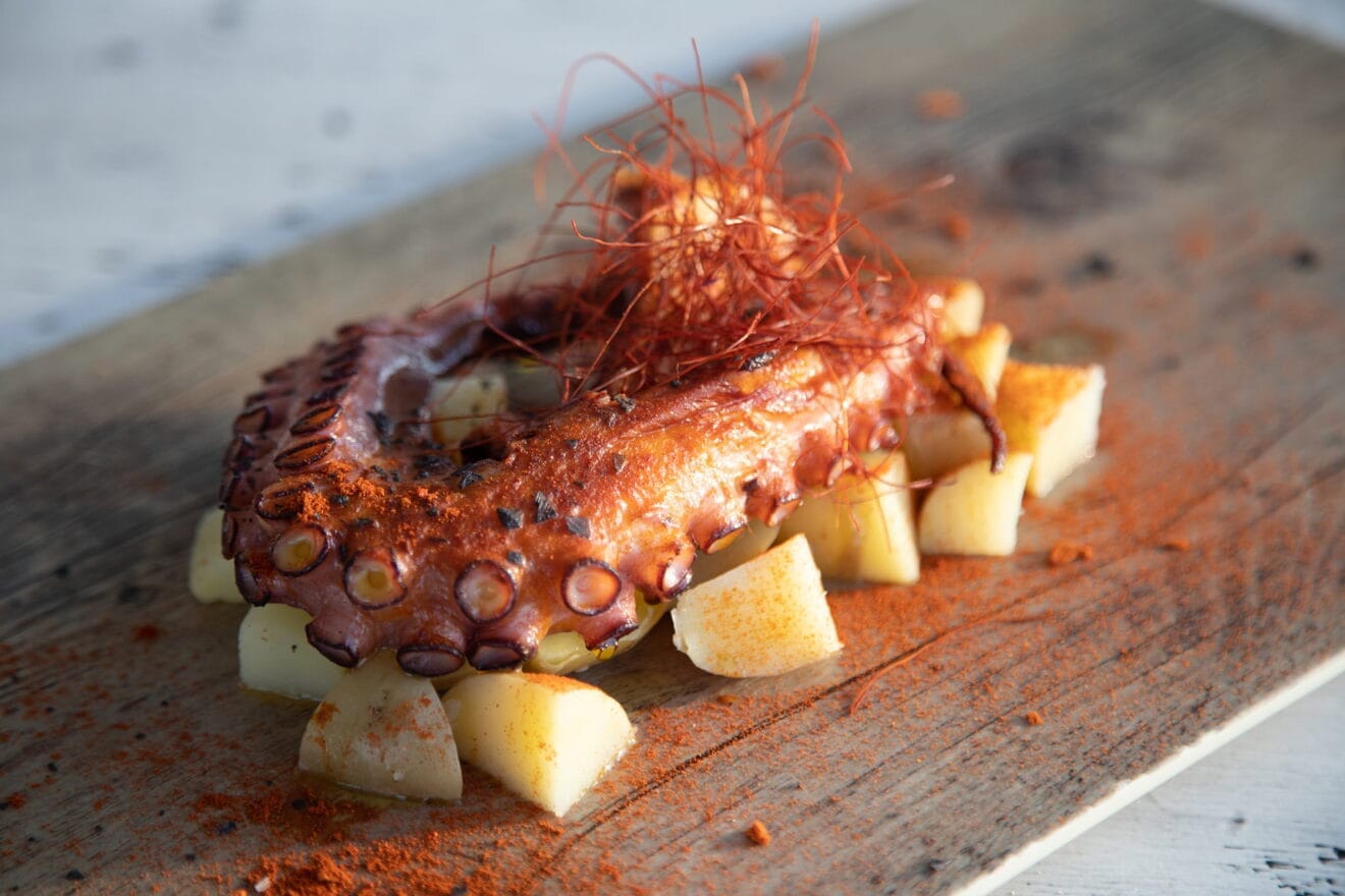 Pulpo a la brasa – Restaurant Noguera