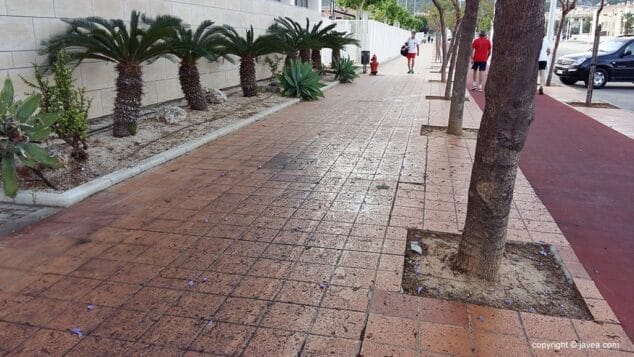 Imagen: Residuos de las flores de las jacarandas en la vía augusta